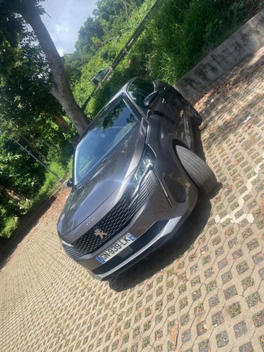 Peugeot 3008 - Biyachara