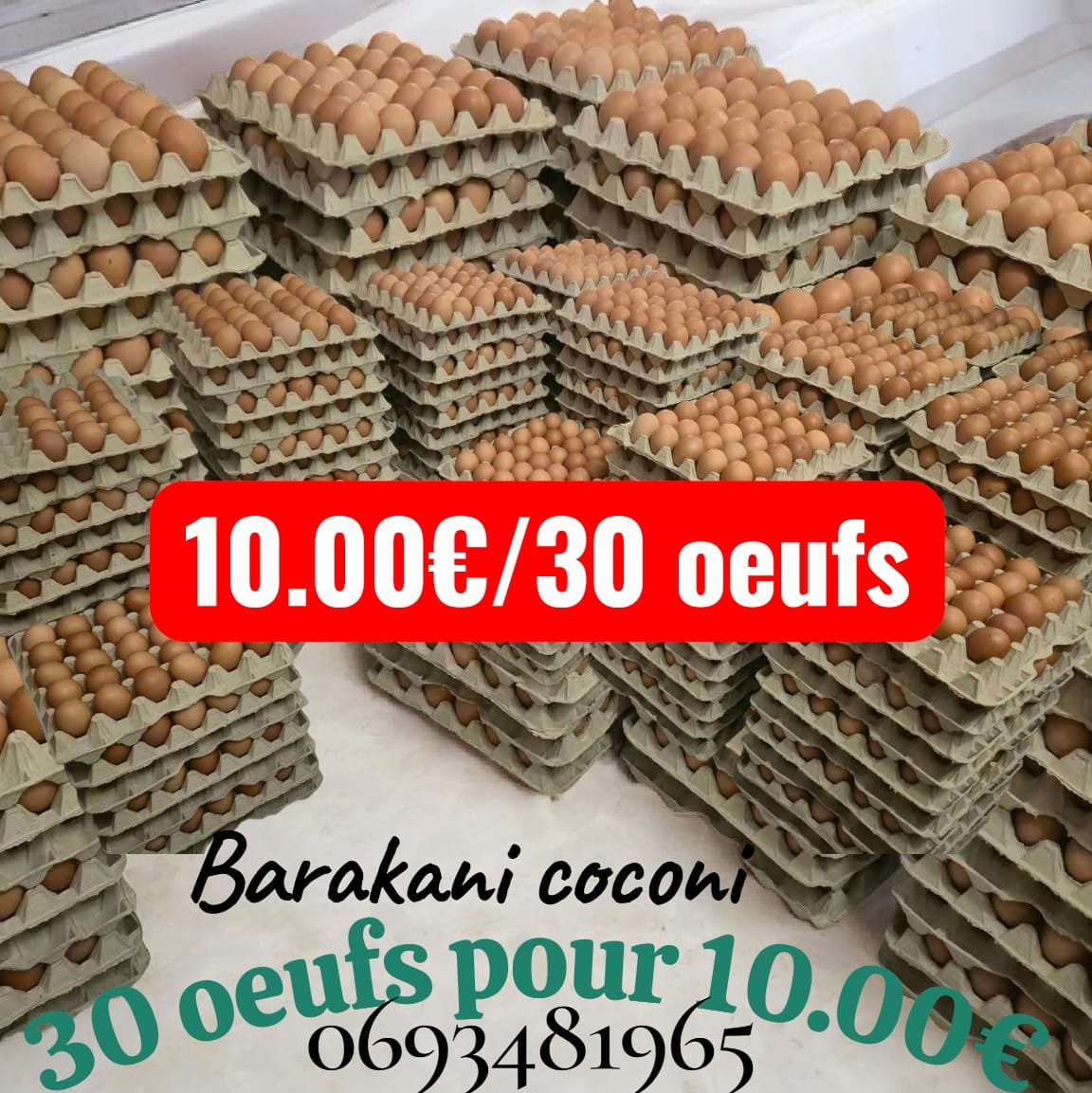 Vente oeufs frais image 1 - Biyachara