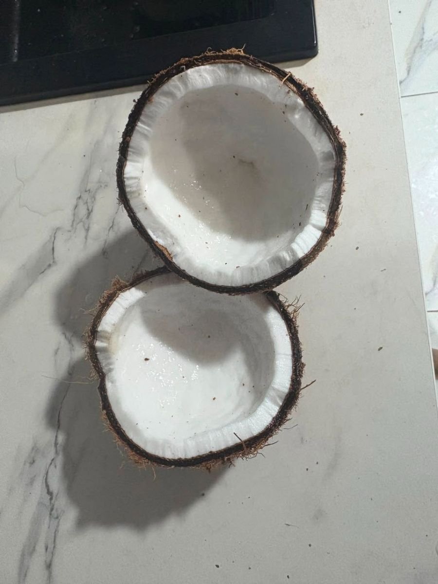 Noix de coco fraîches & naturelles image 1 - Biyachara